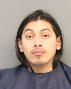 Mugshots from the county jail: 02-25-2019